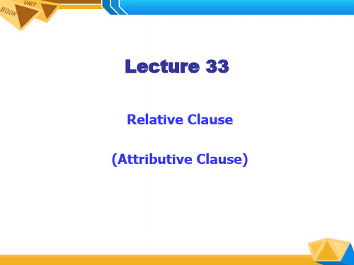 新编英语语法教程第五版 33 Relative Clause