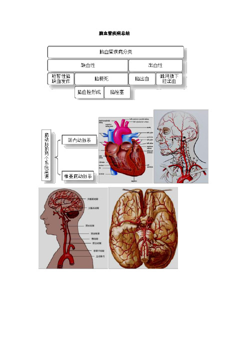 脑血管疾病总结