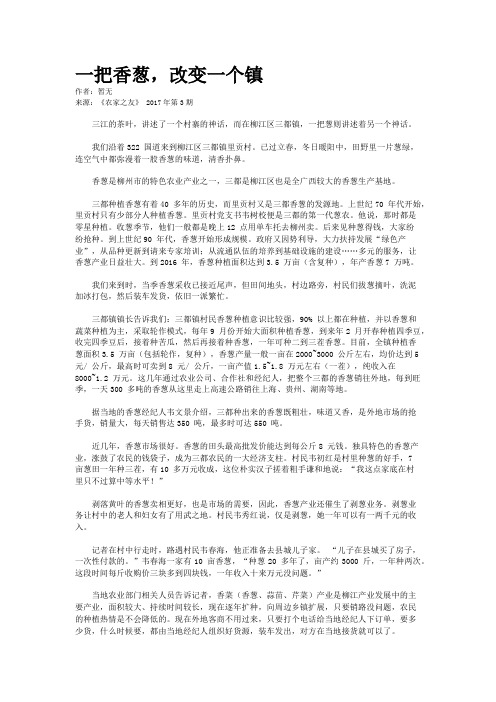 一把香葱，改变一个镇