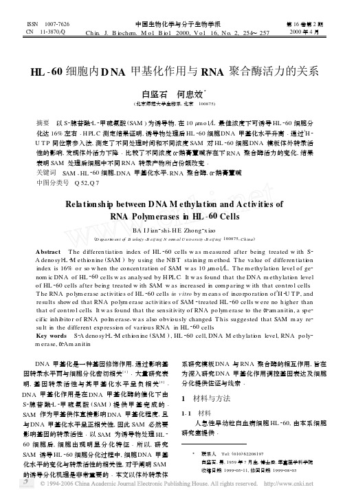 HL -60 细胞内D NA 甲基化作用与 RNA 聚合酶活力的关系