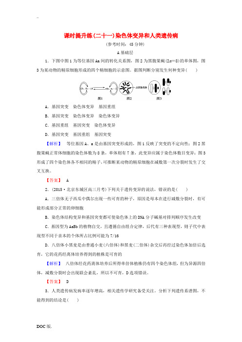 高考总动员高考生物一轮复习 课时提升练21 染色体变异和人类遗传病(含解析)-人教版高三全册生物试题