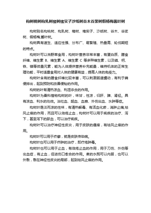 构树桃树构乳树楮树楮实子沙纸树谷木谷浆树假杨梅酱叶树