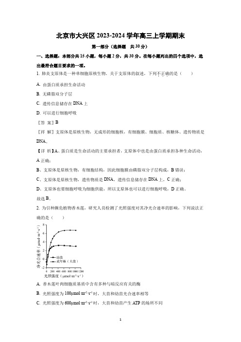 北京市大兴区2023-2024学年高三上学期期末生物试题(解析版)