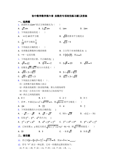 初中数学数学第六章 实数的专项培优练习题(及答案