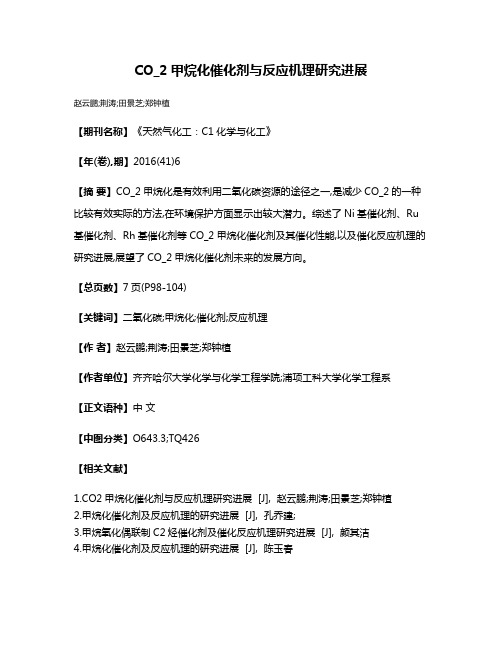 CO_2甲烷化催化剂与反应机理研究进展