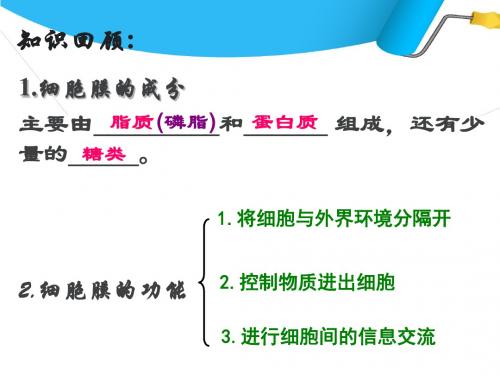 高中生物物质跨膜运输实例24张PPT