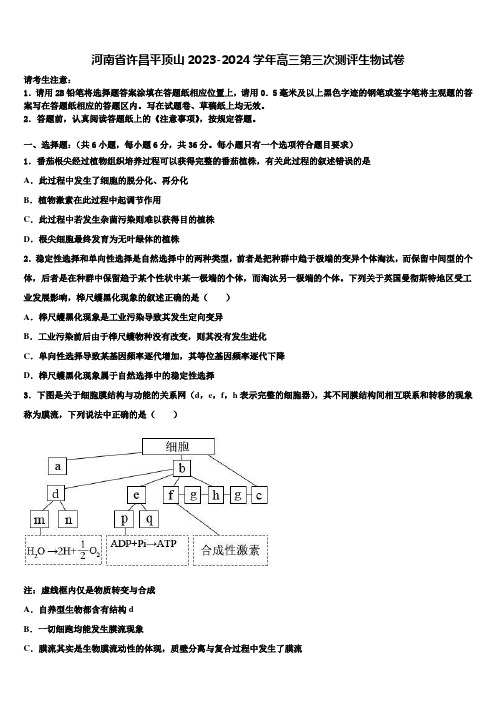 河南省许昌平顶山2023-2024学年高三第三次测评生物试卷含解析