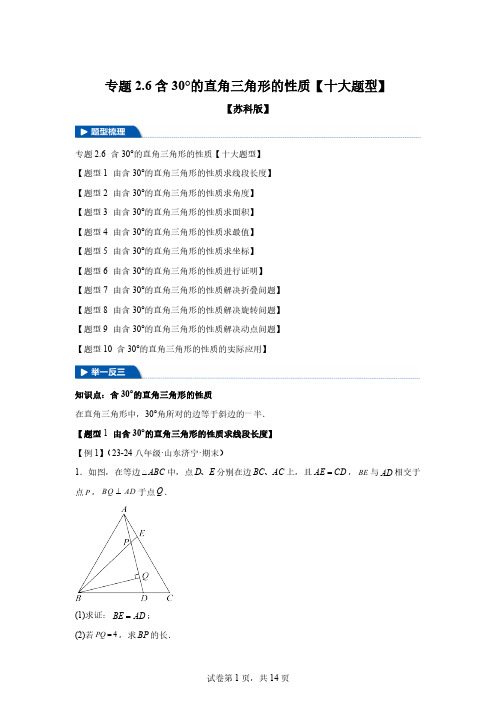 专题2.6含30°的直角三角形的性质【十大题型】-2024-2025学年八年级数学上(1)[含答案]