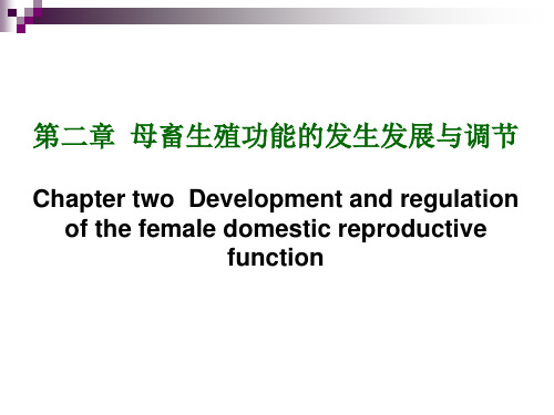 兽医产科学  第二章 发情