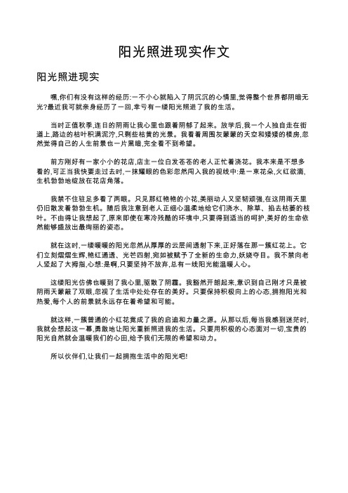 阳光照进现实作文