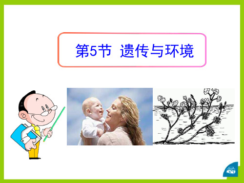 《遗传与环境》PPT-模板