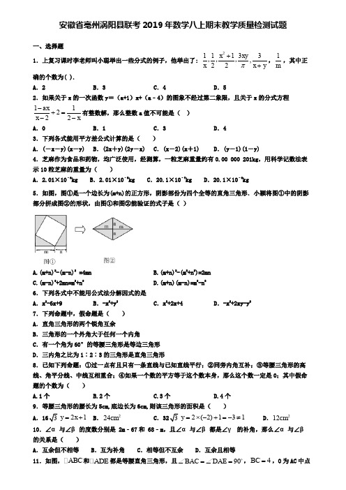 安徽省亳州涡阳县联考2019年数学八上期末教学质量检测试题