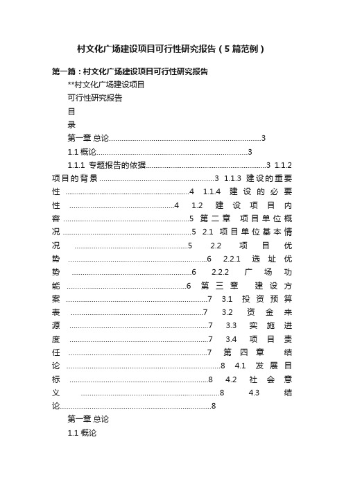 村文化广场建设项目可行性研究报告（5篇范例）