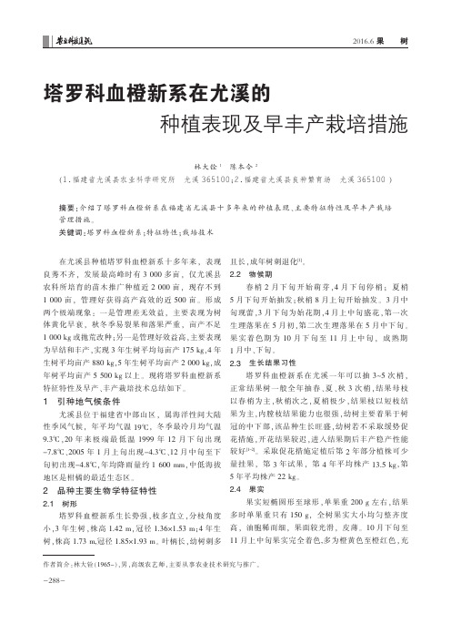 塔罗科血橙新系在尤溪的种植表现及早丰产栽培措施