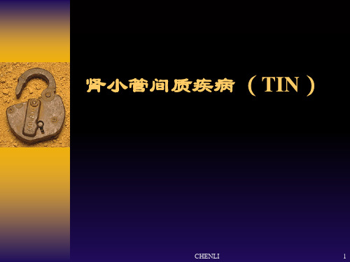 肾小管间质疾病(TIN)PPT课件