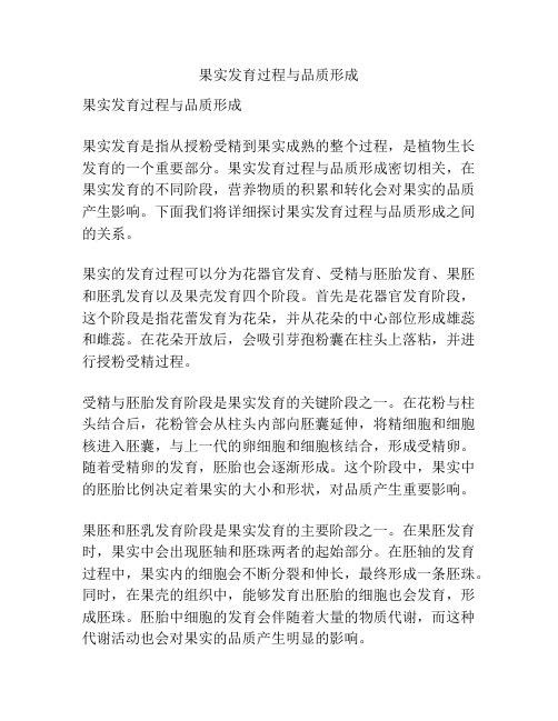 果实发育过程与品质形成