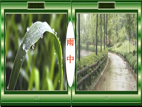 苏教版二年级下册语文《雨后》课件PPT