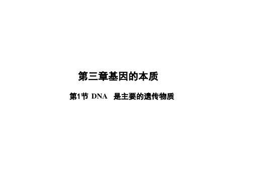 DNA是主要的遗传物质(教学)——高中生物学必修二(28张PPT)