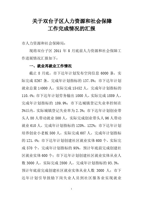 人力资源和社会保障工作汇报(务虚会材料)