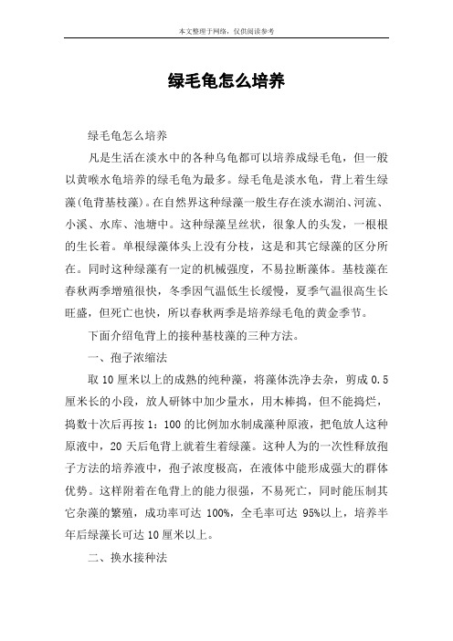 绿毛龟怎么培养