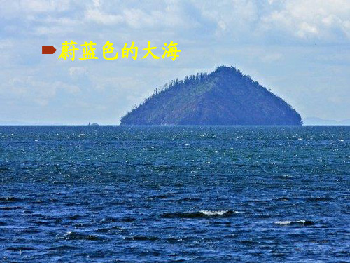 人教版四年级下册语文精品课件16、和我们一样享受春天