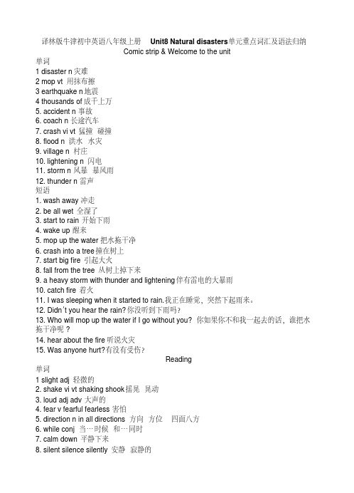 译林版牛津初中英语八年级上册Unit8Naturaldisasters单元重点词汇及语法归纳