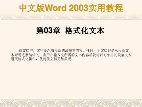 格式化文本ppt课件