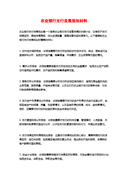 农业银行支行发展规划材料 (2)