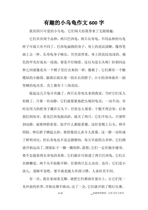 有趣的小乌龟作文600字