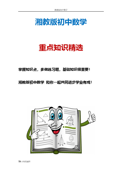 湘教版初中数学九年级上册3.1.1 比例的基本性质1