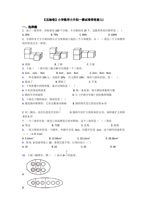 【压轴卷】小学数学小升初一模试卷带答案(1)