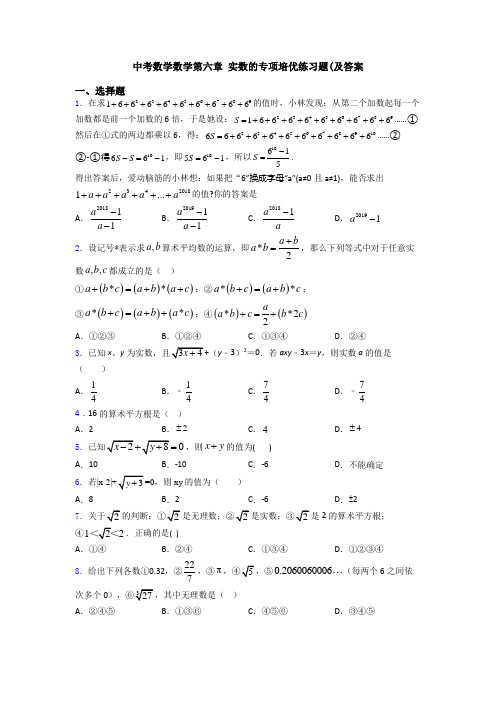 中考数学数学第六章 实数的专项培优练习题(及答案