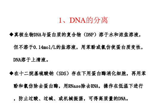 核酸的分离和纯化