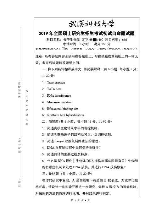 2019年全国硕士研究生招生考试初试自命题试题及答案解析-分子生物学(B卷)