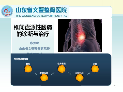 盘源性腰痛的诊治(修改)PPT幻灯片