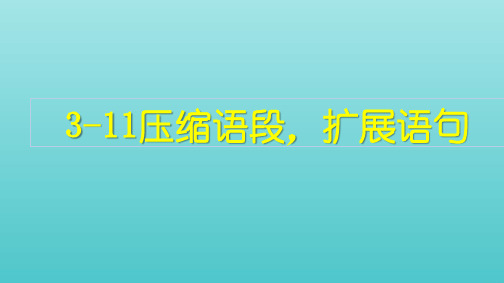 2022高考语文一轮复习3语言文字运用11压缩语段扩展语句课件.pptx