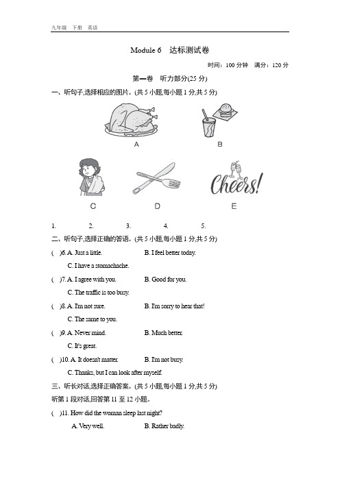 2020春外研版九年级英语下册 Module 6 Module 6 达标测试卷