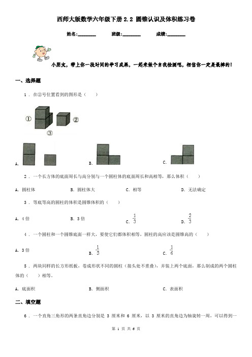 西师大版 数学六年级下册2.2 圆锥认识及体积练习卷