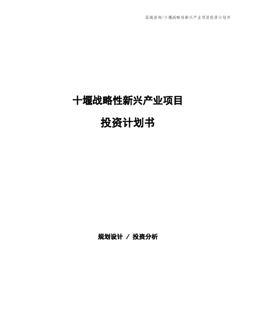 十堰战略性新兴产业项目投资计划书