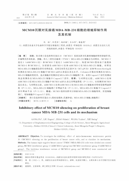 MCM10沉默对乳腺癌MDA-MB-231细胞的增殖抑制作用及其机制