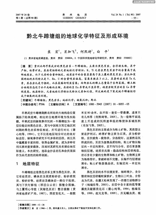黔北牛蹄塘组的地球化学特征及形成环境