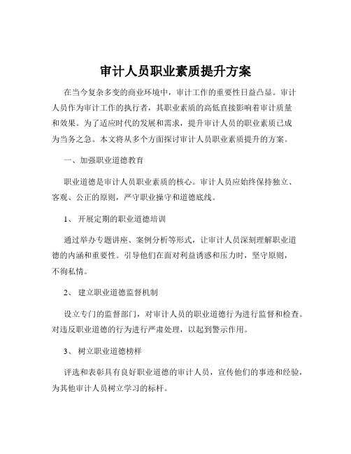 审计人员职业素质提升方案