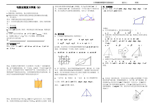 勾股定理复习学案(2)