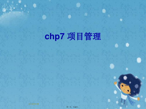 chp7 项目管理 