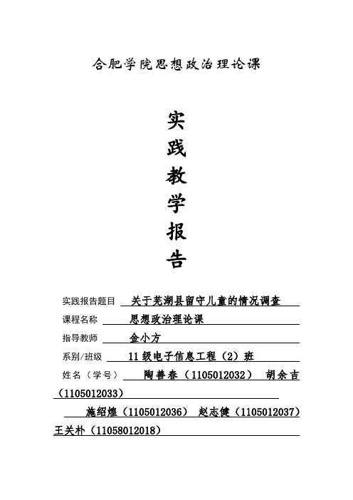 思想政治理论课,社会实践报告