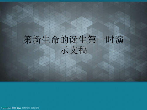 第新生命的诞生第一时演示文稿