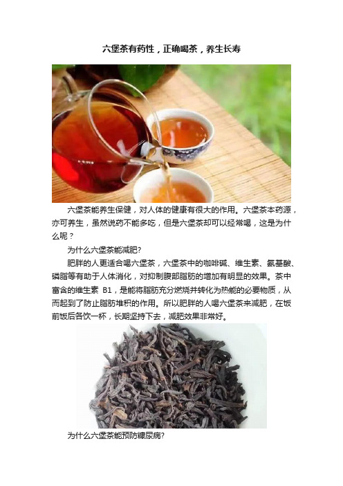 六堡茶有药性，正确喝茶，养生长寿