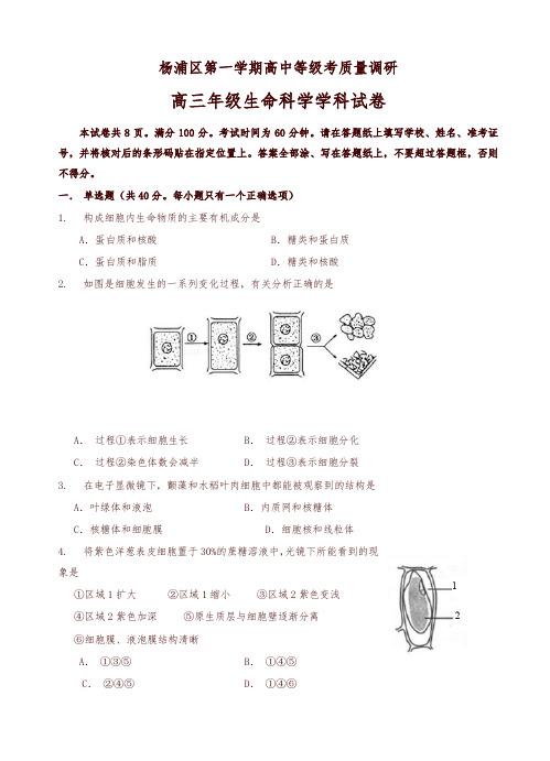 上海市杨浦区高三上学期期末考质量调研(一模)生命科学试卷(有答案)