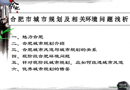 合肥城市规划及相关环境问题的浅析