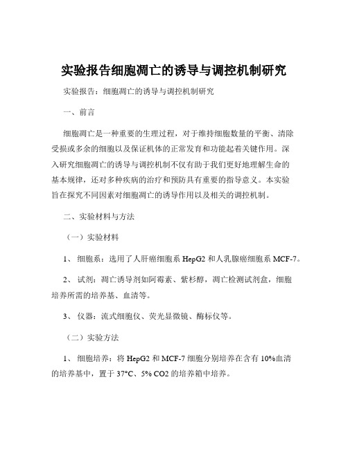 实验报告细胞凋亡的诱导与调控机制研究